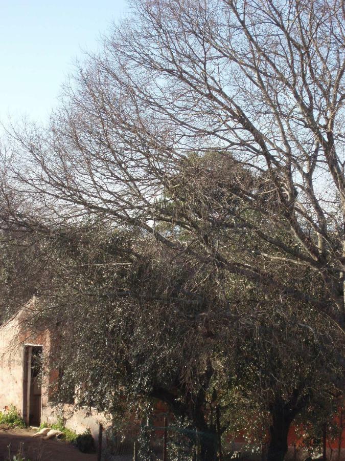 Casal Da Juge Torres Novas Exterior photo